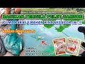 Download Lagu RESEP UMPAN DADAKAN TERGILA !! UMPAN IKAN MAS LARANGAN TERSADIS SPESIAL KILO GEBRUS❗❗