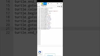 Indonesia flag by using python