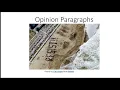 Opinion Paragraphs