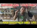 Lagu BONGKAR RAHASIA PAKAN DOMBA KERING YANG BAGUS AGAR DOMBA CEPAT GEMUK