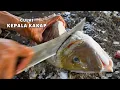 Download Lagu Gulai KEPALA IKAN KAKAP khas Aceh: SIMPEL, ENAK, AUTO NGISI NASI TERUS!