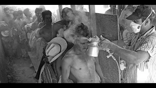 Hidden Immigrants The Undesirables We Can T Live Without 