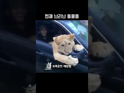 현재 난리난 동물들