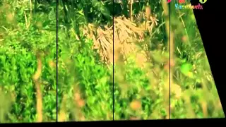 اصطفاك المتين عبدالقادر صباهي قناة كراميش Karameesh Tv 