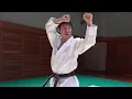 Download Lagu 【Karate】How to use Heian Nidan in a Fight. (Tatsuya Naka JKA)