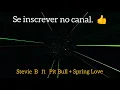 Stevie B ft Pit Bull + Spring Love