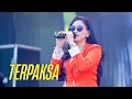 Lagu TERPAKSA - RISCA YANUAR - OM.AZAHARA (Bongsoireng Community) 