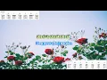 Rose Garden (no  capo) by Lynn Anderson play along with scrolling guitar chords and lyrics