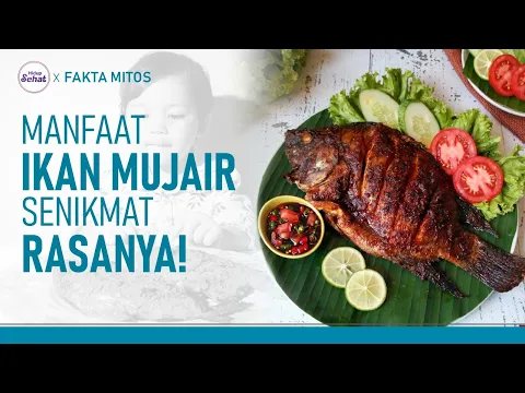 Manfaat Ikan Mujair, Sumber Protein dan Omega 3 yang Ekonomis