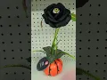 Download Lagu Dollar Tree 2023 Halloween. I see you plant