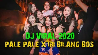 Download DJ VIRAL 2020 PALE PALE X IRI BILANG BOS MP3