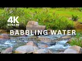 Download Lagu Beautiful Stream \u0026 Babbling Water | Nature \u0026 Forest Sounds for Deep Relaxation \u0026 Healing Sleep