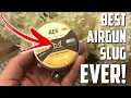 Download Lagu The Miracle Airgun Slug: Introducing AirMarksman ACE Precision Slugs!