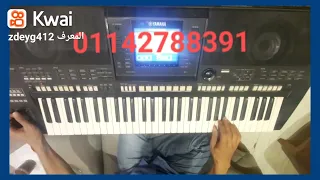 هو صحيح الهوا غلاب عزف هشام الامير 