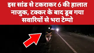 नेशनल हाइवे 730 पर काल बनकर आया एक सांड, टेम्पो में थे 6 लोग सवार उसके बाद