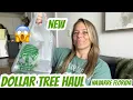 DOLLAR TREE HAUL NAVARRE FLORIDA NEW FINDS