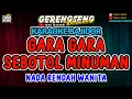 Download Lagu GARA GARA SEBOTOL MINUMAN KARAOKE - BAJIDOR