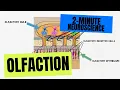 2-Minute Neuroscience Olfaction