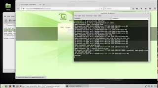 Linux SSH Tunneling With Proxychains