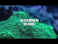 Genesis 1 - God, you Created, First Six Days of Creation Worship and Praise Song 