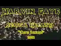 CURA SEXUAL - Sexual Healing -1982 - Marvin Gaye (tradução PY BR)