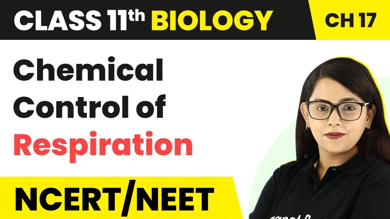 Chemical Control of Respiration- Breathing and Exchange of Gases | Class 11 Biology Ch 17 NCERT/NEET
