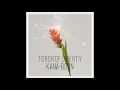 Download Lagu Kana-Boon Torch of Liberty