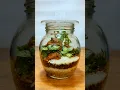 Mini Terrarium in a Jar | Easy Plant DIY