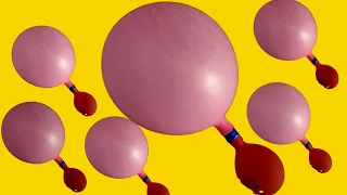  558 toet toet kokek kokek suara balon dan cara membuatnya