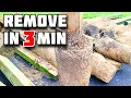 How to Remove Fence Post in 3 Minutes How to Remove Concrete from the Ground
