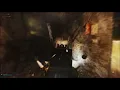 Completing Survivalist Path Cold Blooded in 5 Seconds Escape from Tarkov