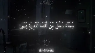 ياسر الدوسري   ودخل المدينة على حين غفلة من أهلها دندنها