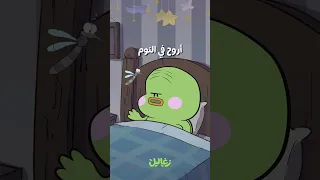 قلقس والناموسة زغاليل 