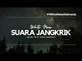 Lagu Krik Krik Krik, Suara Jangkrik Di Tengah Hutan (FULL 1 JAM)