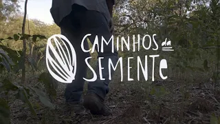 Restauração ecológica com semeadura direta: compre das redes de coletores de sementes