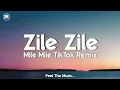 zile zile song || zile zile mile mile tiktok remix song