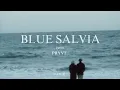 Download Lagu 𝑩𝑳𝑼𝑬 𝑺𝑨𝑳𝑽𝑰𝑨 𝒍𝒚𝒓𝒊𝒄𝒔 - 𝑷𝑹𝒀𝑽𝑻