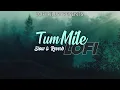 Tum Mile Lofi [Slow+Reverb] - Javed Ali - Lofi Pills