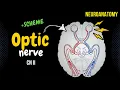 CN 2 Optic Nerve Scheme Pathway Lesions Neuroanatomy