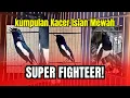 Download Lagu 🔴 SUARA BURUNG KACER NGEPLONG MERDU AMPUH BUAT PANCINGAN KACER BAHAN BIKIN CEPAT EMOSI❗ #kacergacor