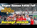 Download Lagu Sogon Mewah kumpul satu titik di PSI Magelang.(Ada satu incaran saya boskuh😁👌🏻.).