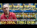 Download Lagu PASAR BURUNG ! HARI INI JUAL MURAH BURUNG 15RB 2 EKOR SETOCK BANYAK PERKUTUT KENARI KIOS BAJANG 