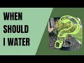 Download Lagu The Best Time to Water Citrus in Containers Revealed!