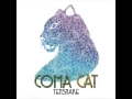 Download Lagu Tensnake - Coma Cat (Radio Edit)