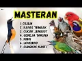 Download Lagu 🔴 KOMBINASI TERBAIK MASTERAN MURAI BATU GACOR DI MALAM HARI