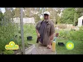 How To Make A Safe Homemade Insecticide Spray