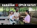 Download Lagu KÖYÜMÜZE BİR KARAVAN GELDİ | Ahır Temizlettik @lifeoftiny