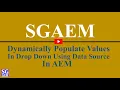 Dynamically Populate Drop Down using datasource in AEM