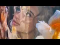 Sab Zada - Pools