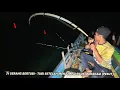 Download Lagu Di Serang Secara Beruntun Oleh Ikan-ikan Monster Di Spot Baru Saya Jamah. #fishing 
